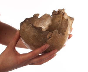 One of the Gough's Cave skull cups